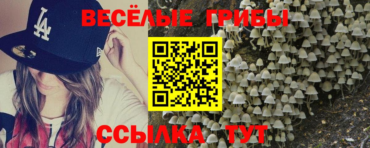 Псилоцибиновые грибы мицелий Егорьевск