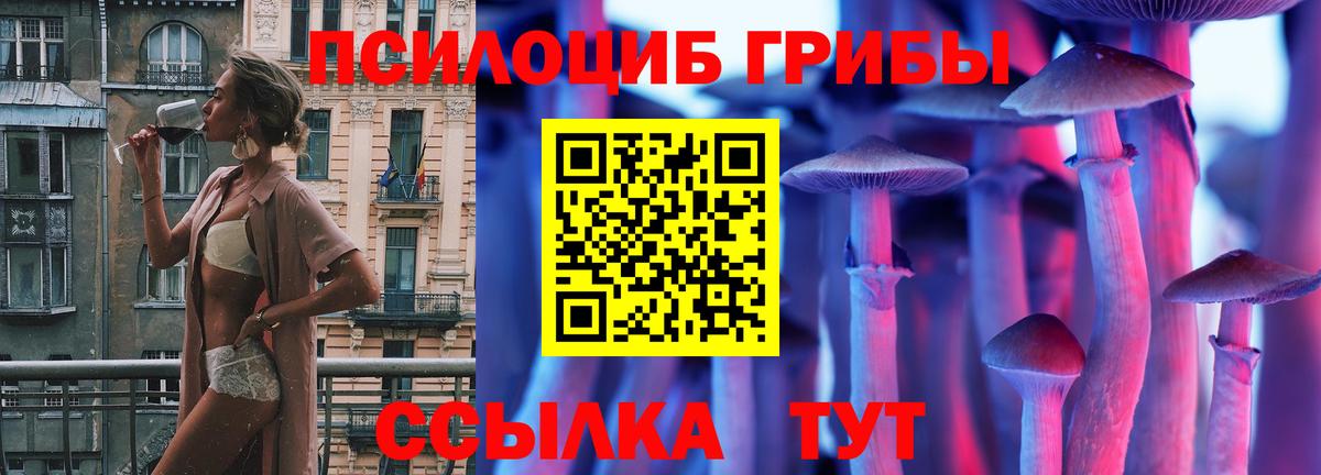 Галлюциногенные грибы мицелий  где продают наркотики  Егорьевск  Вход с VPN 